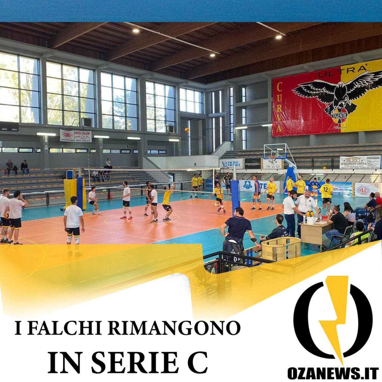 falchi serie c
