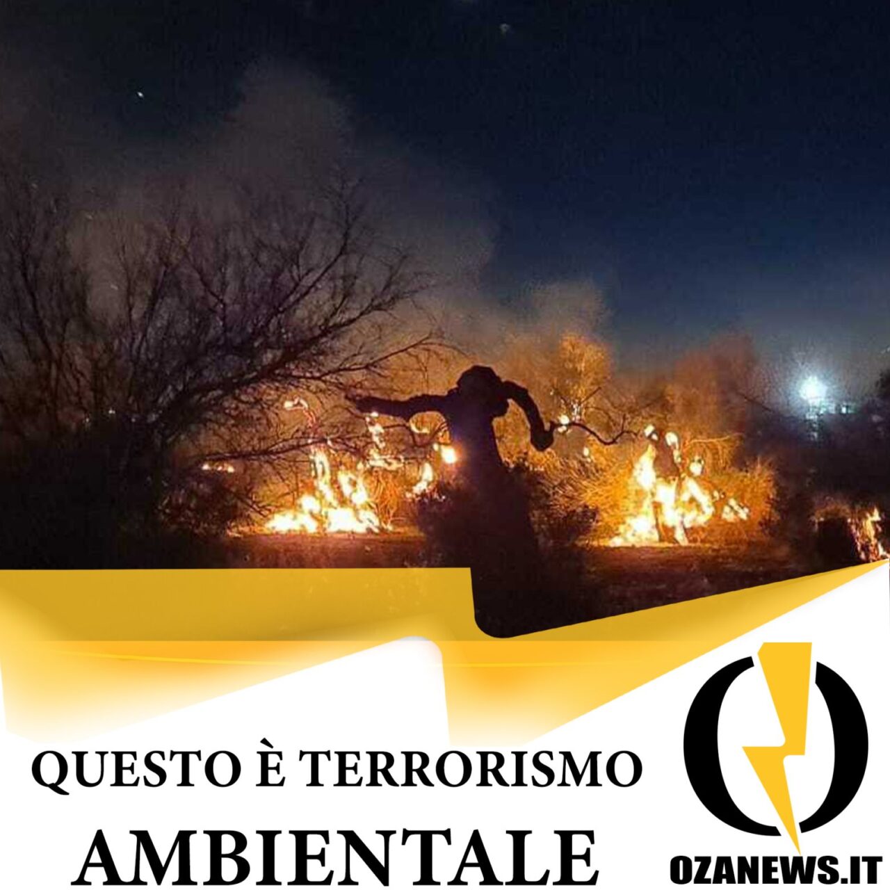 ALLARME INCENDI UGENTO, TERRORISMO AMBIENTALE_